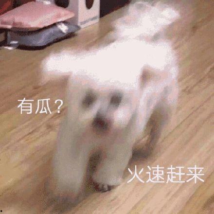 吃瓜娱乐图片搞笑头像,搞笑头像中的吃瓜娱乐瞬间