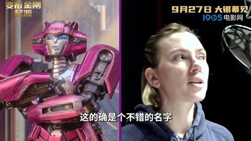 金刚哥被爆料视频播放在线观看,揭秘背后惊人真相