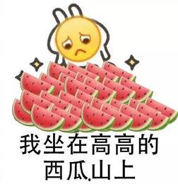 郑州大学生免费吃瓜,学生免费畅享瓜果盛宴