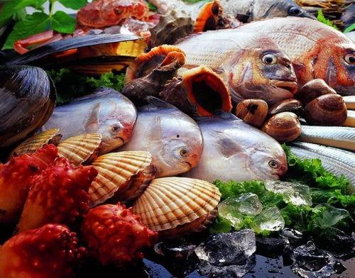 冷冻海鲜视频爆料大全,视频爆料大全深度解析