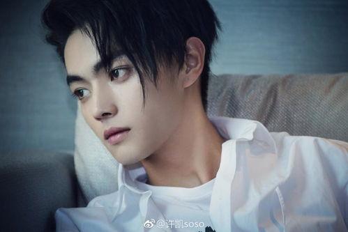 媒体爆料许凯视频下载网站,揭秘热门明星资源获取途径