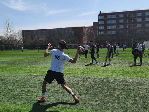 橄榄球协会爆料视频大全,精彩视频大全回顾