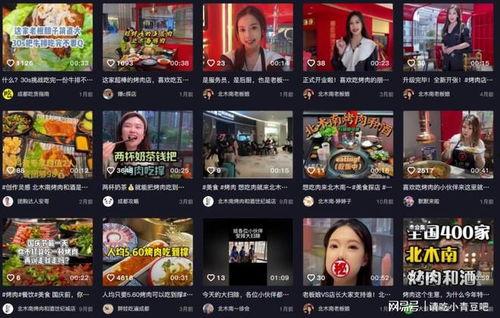 餐厅爆料视频大全最新版,一网打尽美食界风云