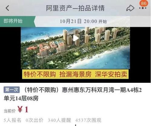 惠州房产爆料视频,揭秘惠州楼市最新动态与趋势
