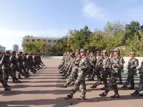 军训最新爆料新闻稿,揭秘神秘爆料背后的真实情况