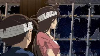 漆黑在线观看,揭秘暗网世界的惊悚之旅