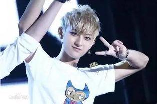 娱乐圈爆料黄子韬有钱,娱乐圈新晋富豪的崛起之路