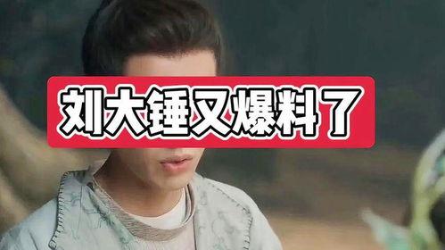 刘大锤爆料杜海涛视频,揭秘背后惊人真相