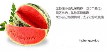 娱乐吃瓜封面怎么做